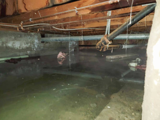 Best 24-hour water damage restoration  in Lynchburg, TN