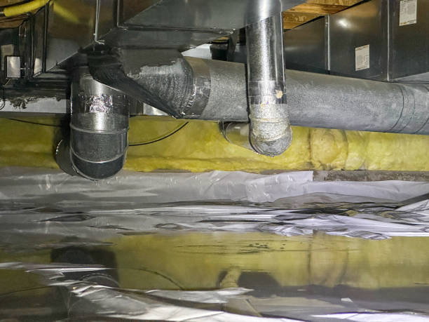 Best Basement water damage restoration  in Lynchburg, TN