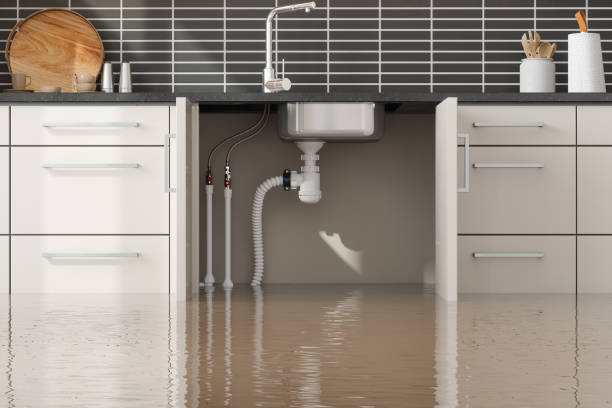 Best Carpet water damage restoration  in Lynchburg, TN